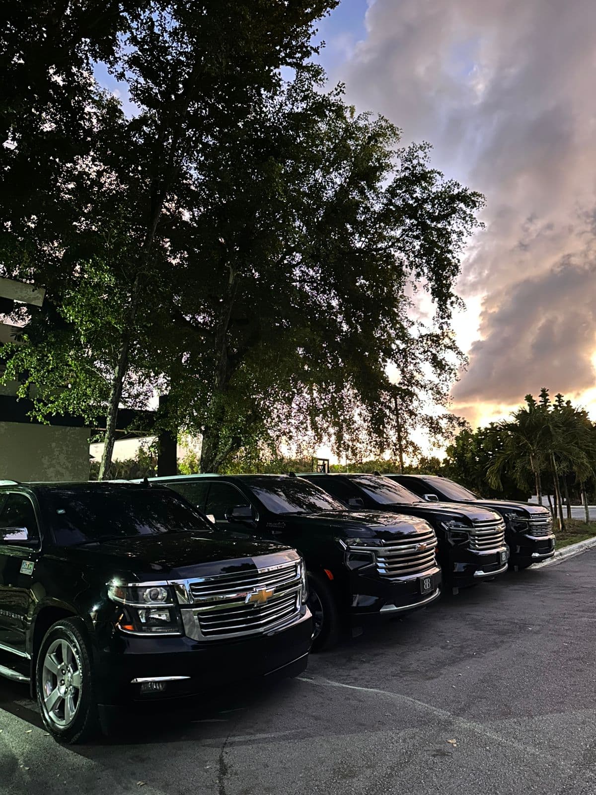 Private SUV fleet prepared for Punta Cana transfers