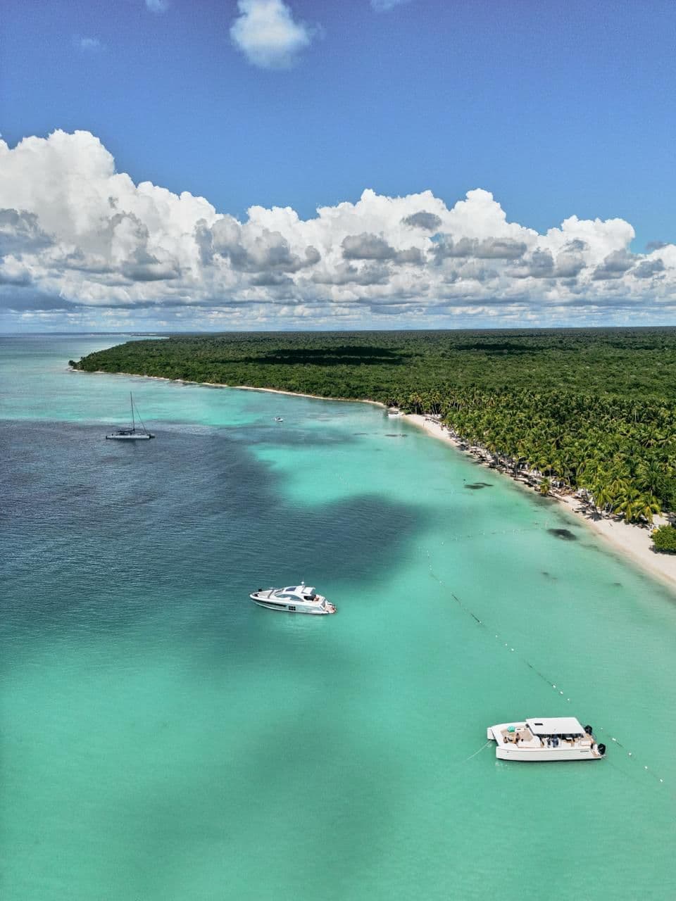 Scenic Saona Island day experience with tropical water and island escape setting